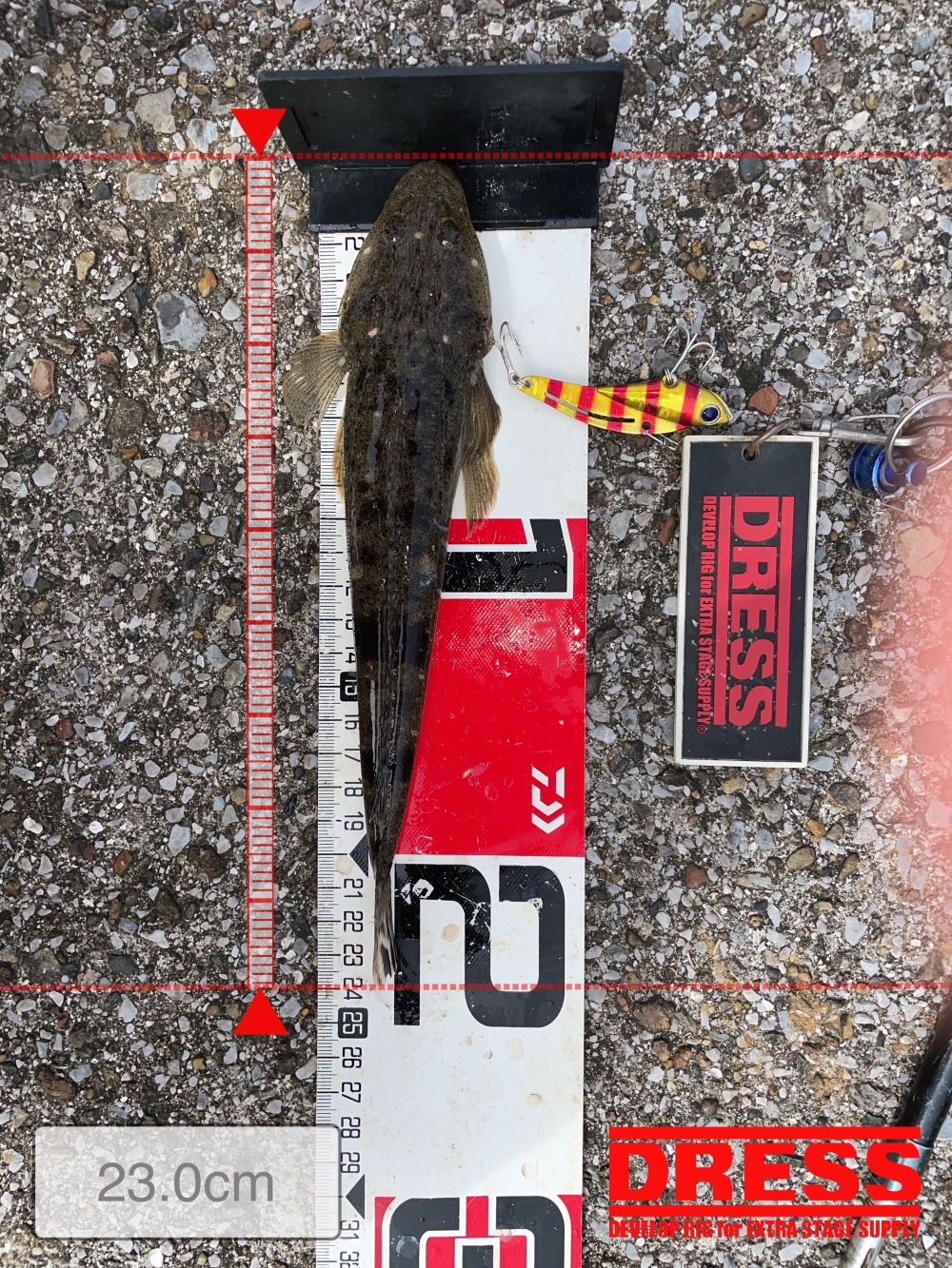 10024_0_5b797e0dbd8e43ad80e023f3b119f482