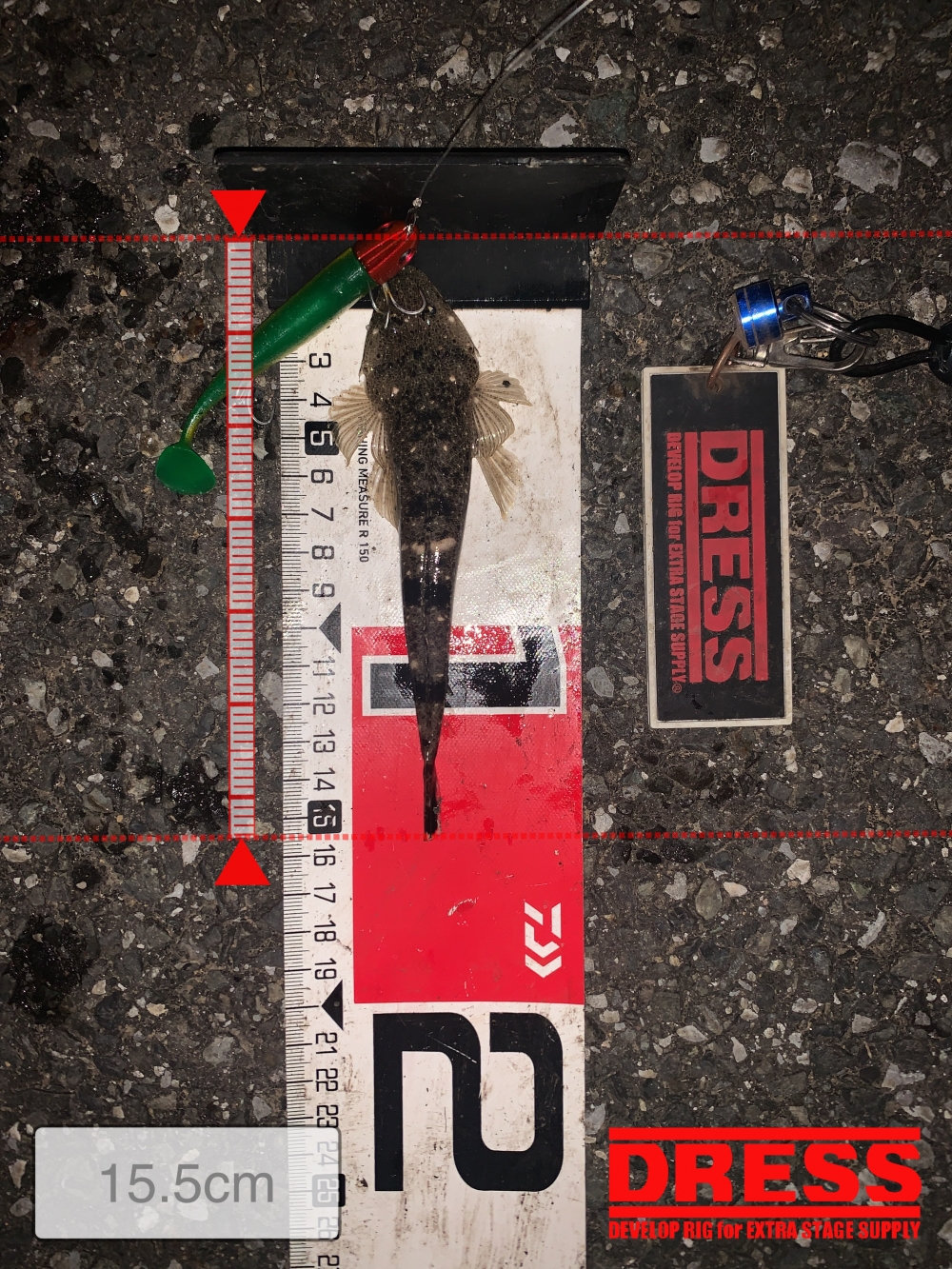10024_0_66193fa934dcb6f5e1574fafe9f1c4dc