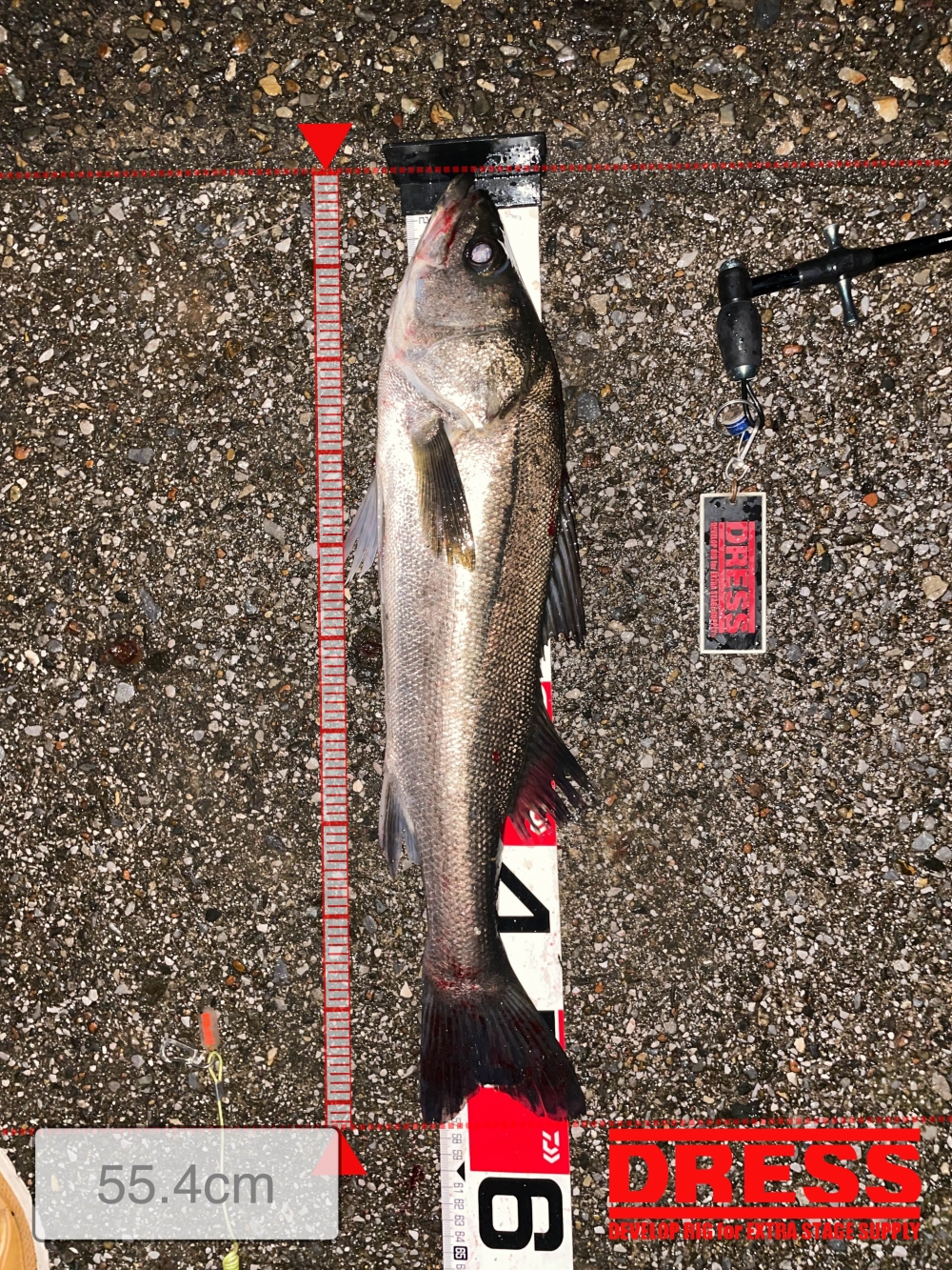 10024_0_9fb140d9c14875657bc1fd915941a705