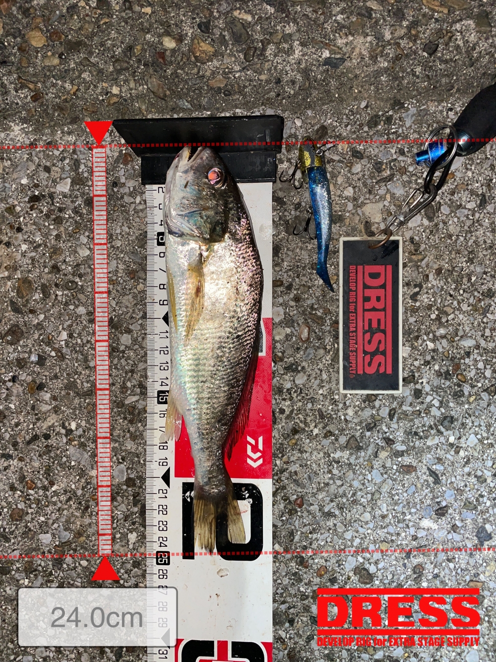 10024_0_a88ef87ab2d5fb46192e795c08868e61