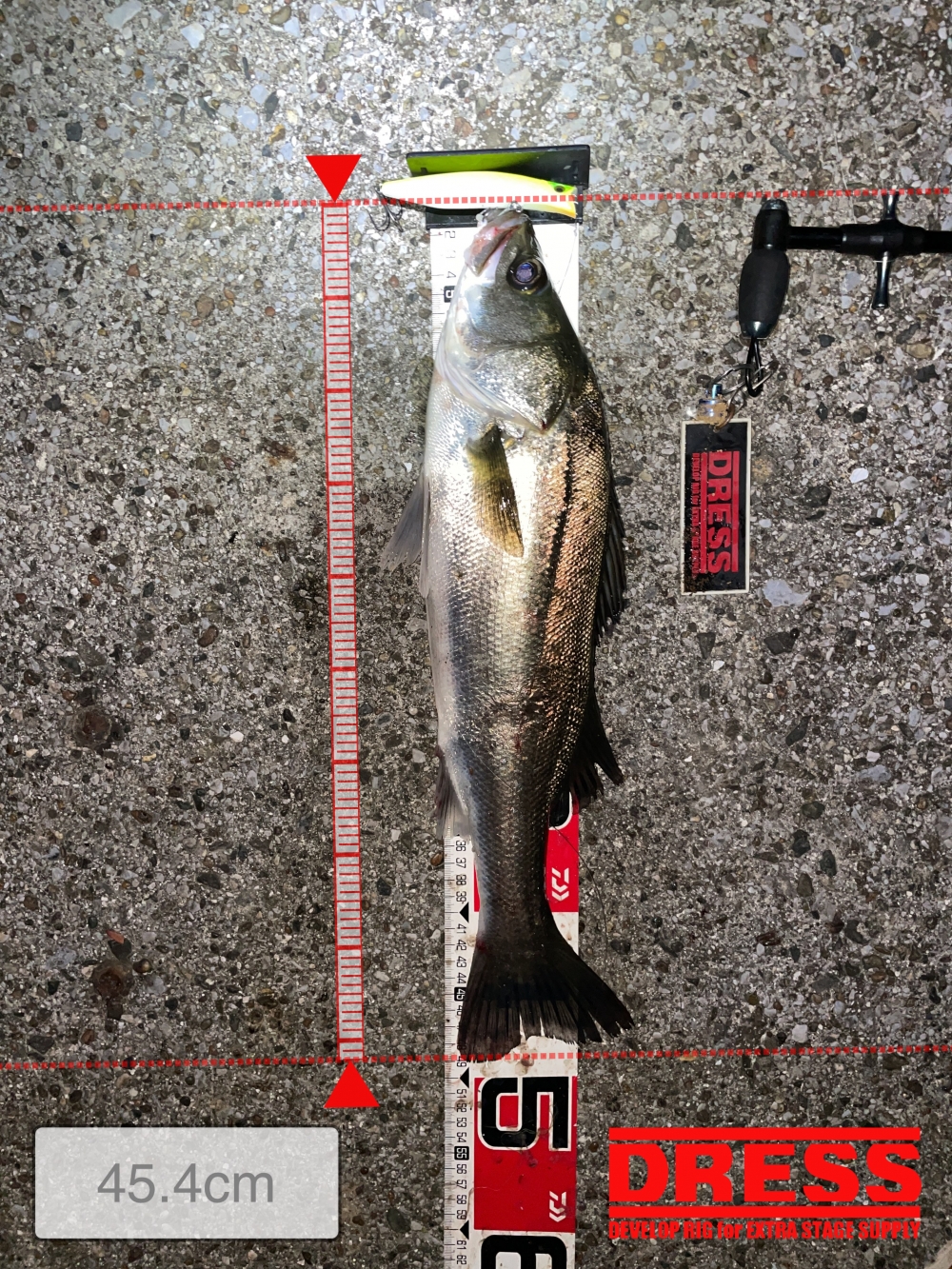 10024_0_ab05bb1ba809a3af61323113c923e45d