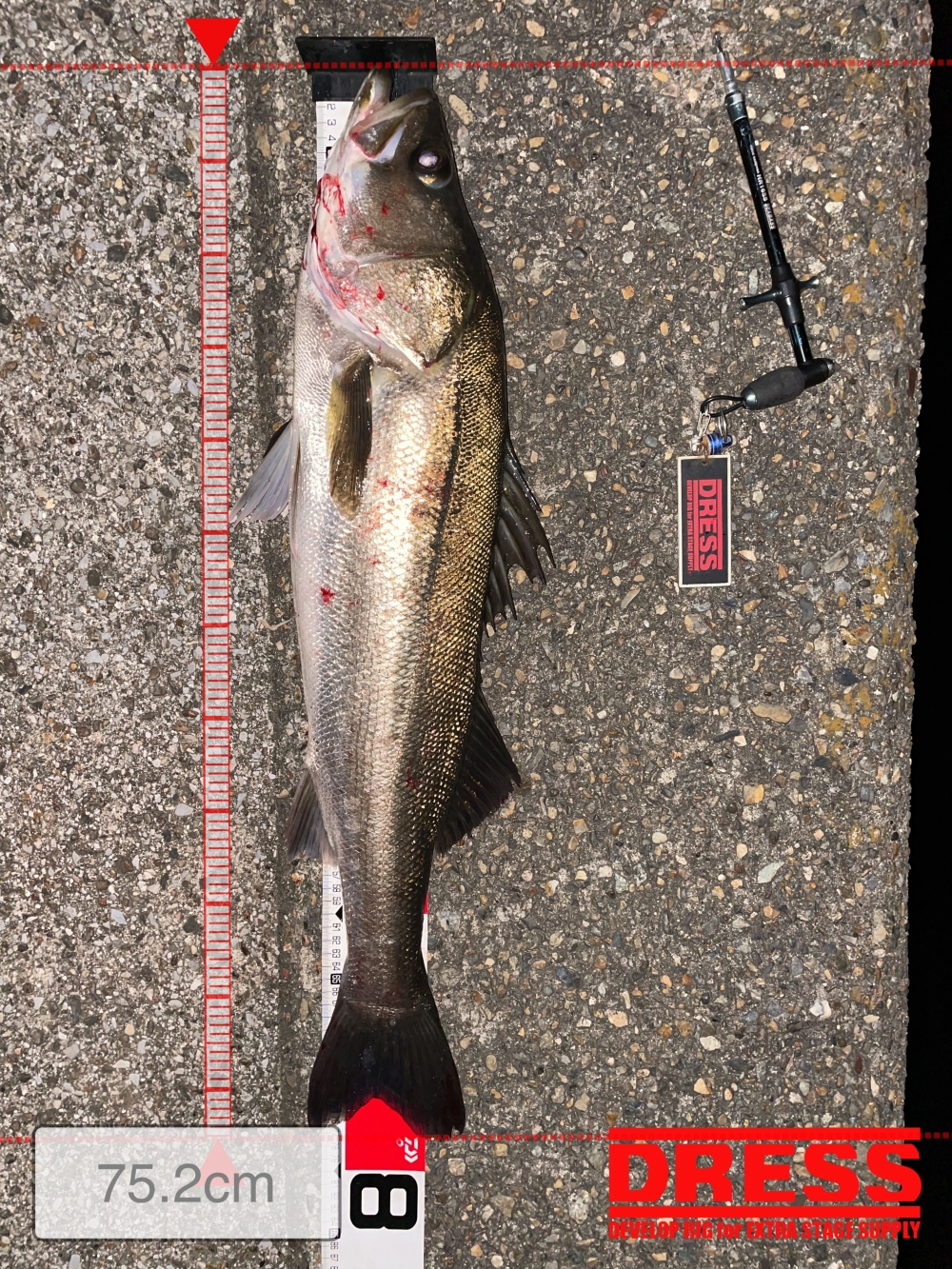 10024_0_add6004001d3b7d1c9aee26f402ea706