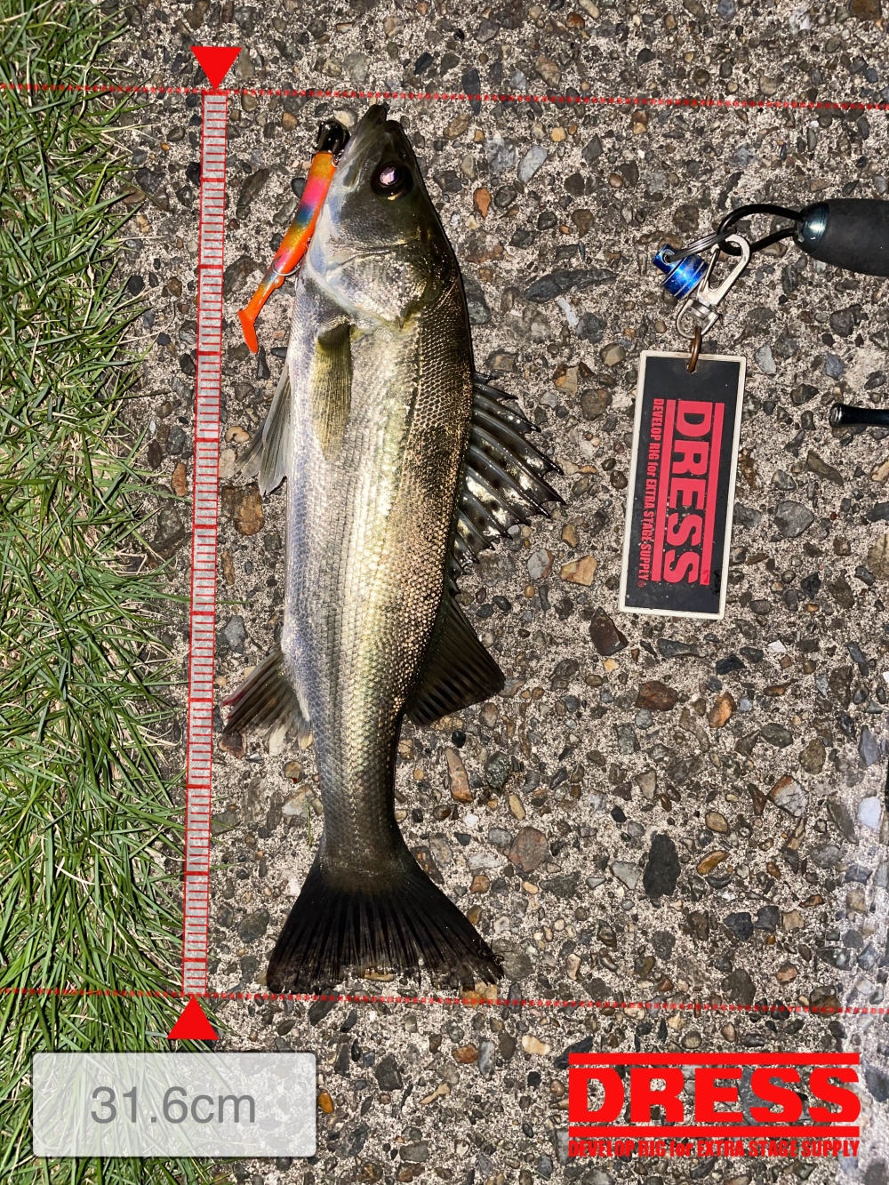 10024_0_b0b891aa1810332c044e2e74563771d3