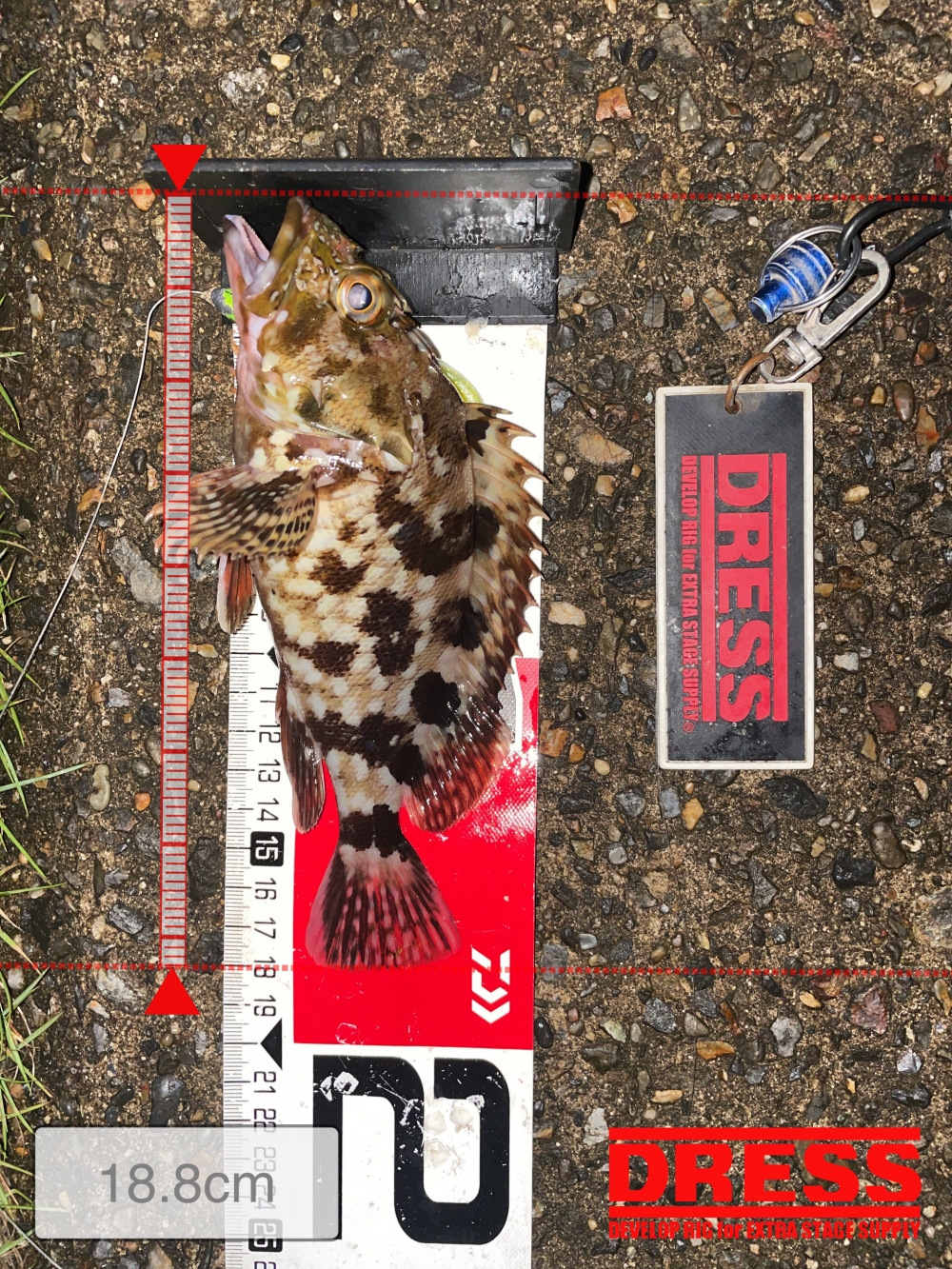 10024_0_b16309631b820a10fb2d66a555f4e190