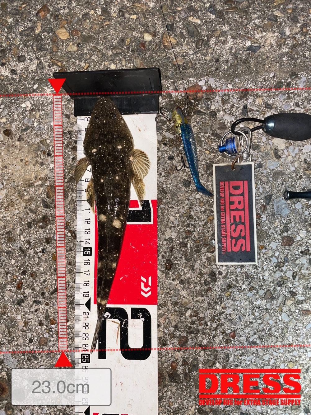 10024_0_b68243da0a1d2bfc9e2b36cf49c91879