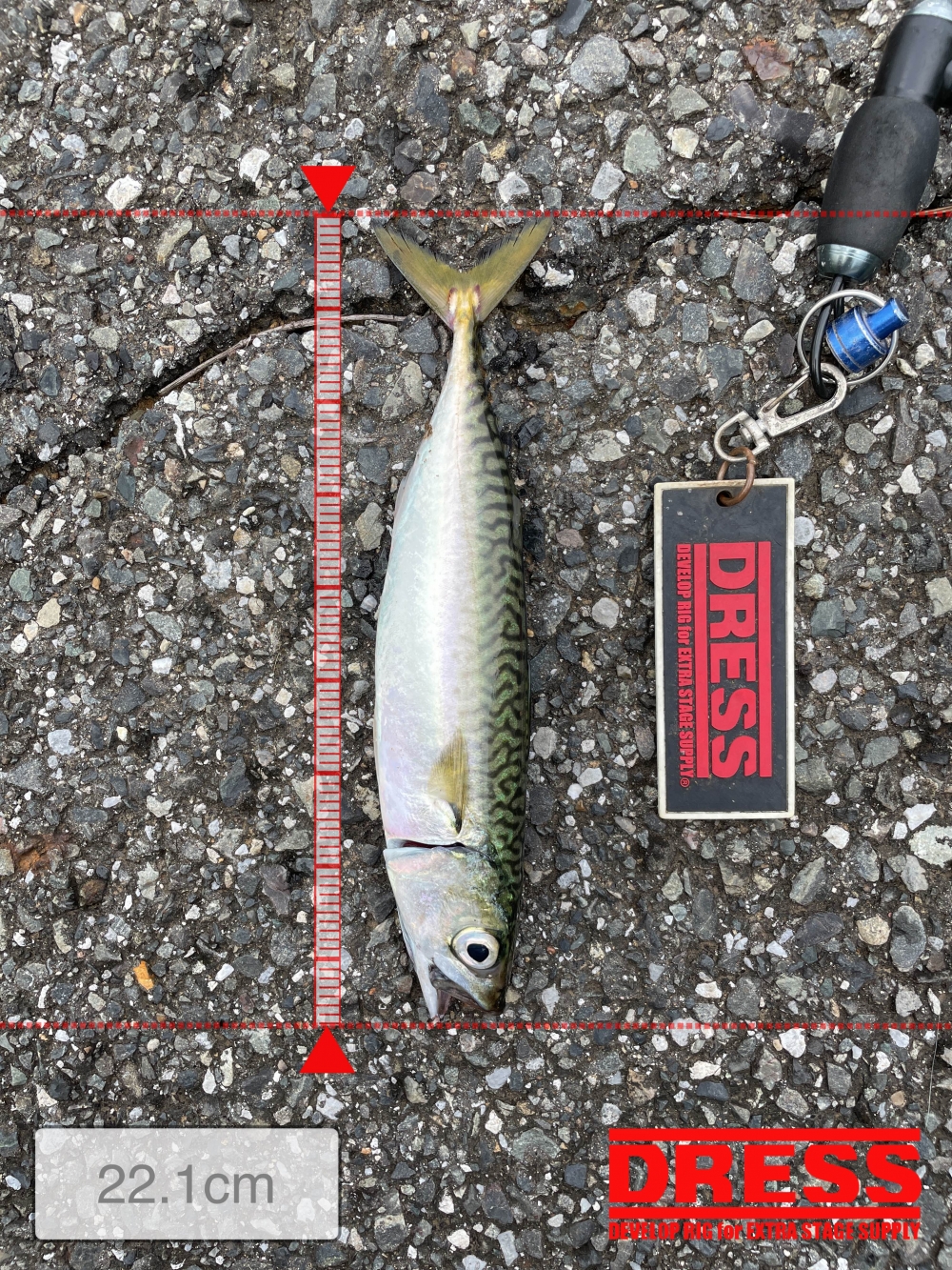 10024_0_b9df94c26e470cbae2d3dbfa89590d9f