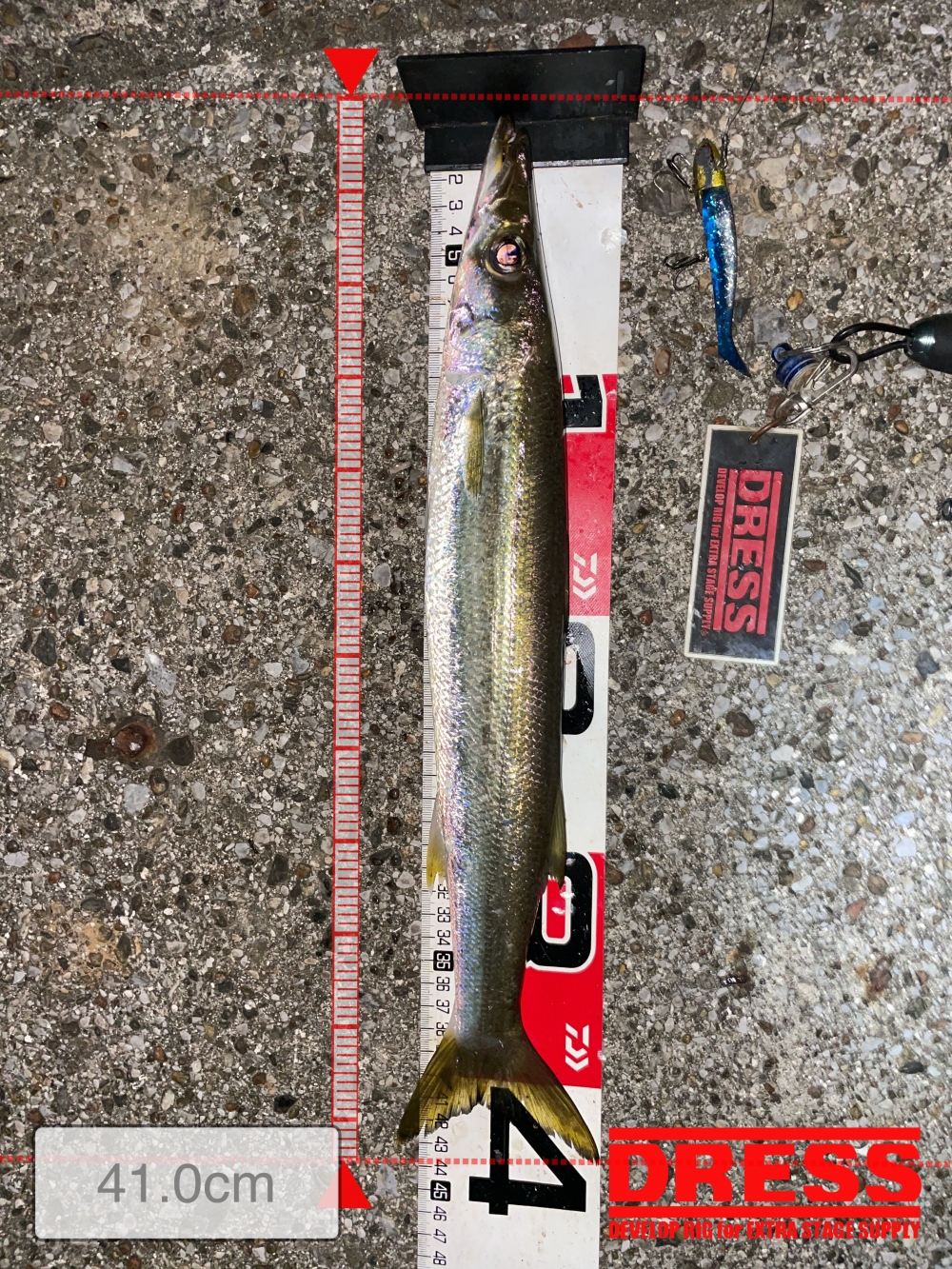 10024_0_bb4319c63989b29cfd7b08c8a28c2501