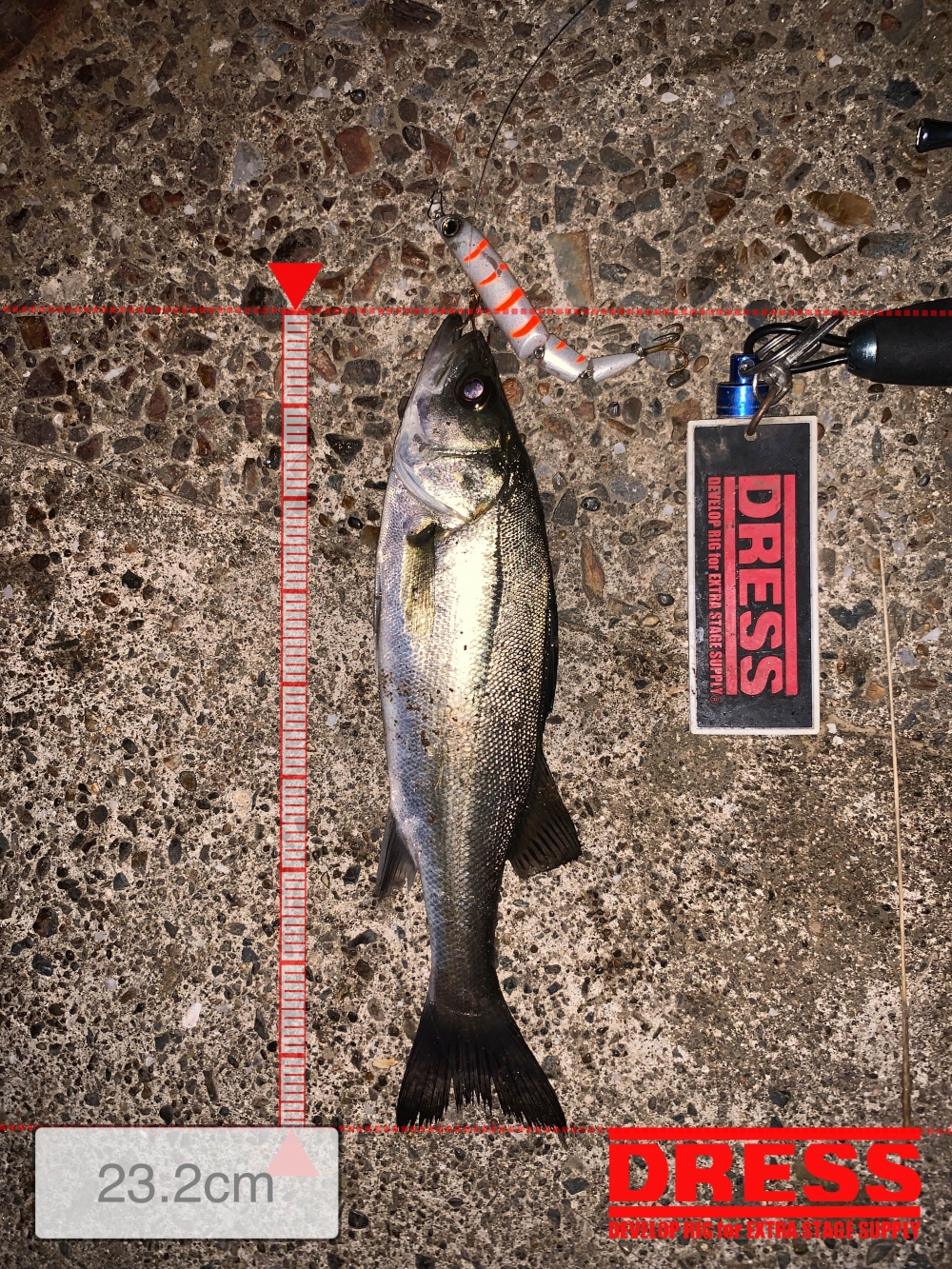 10024_0_c97c8640fa689eb35a5696b1bd80bd6c