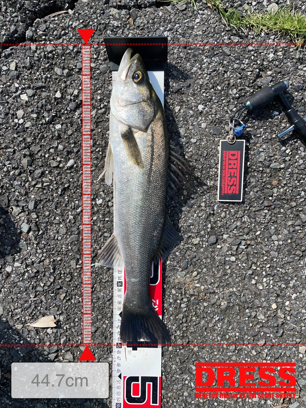 10024_0_d64b4d6dd3355e03e549f3d8c7a37e30