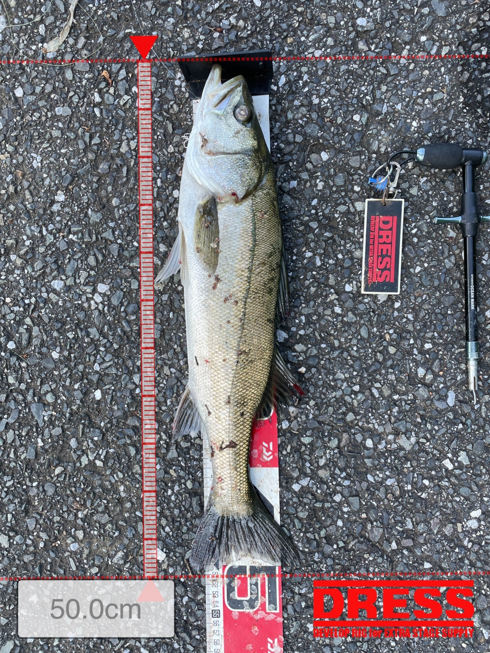 10024_0_db0826812187b1232767e5f985a27681