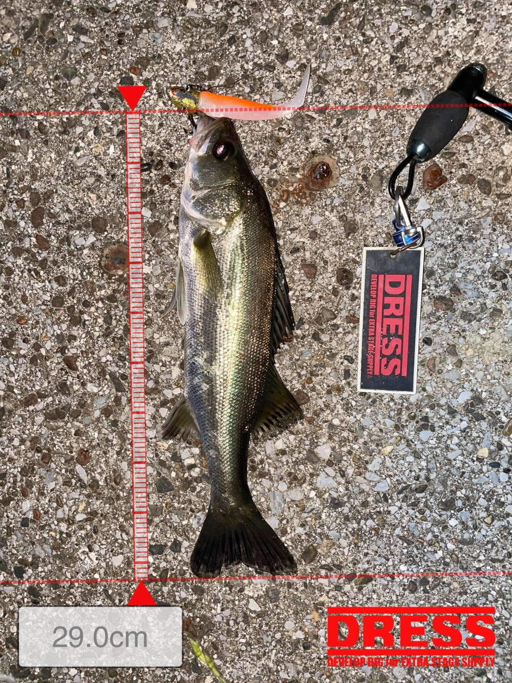 10024_0_fdb9431157ab06b99add41595022eecf