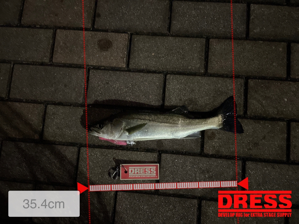 10026_0_89cb14efc54d17995d69bcfd31a4deb5