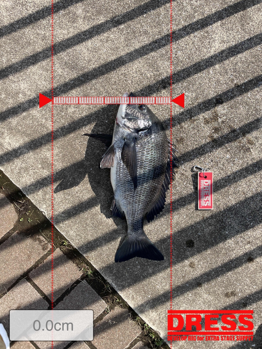 10026_0_f0c40a9e661709d279ea2bfe8d9bd7fc