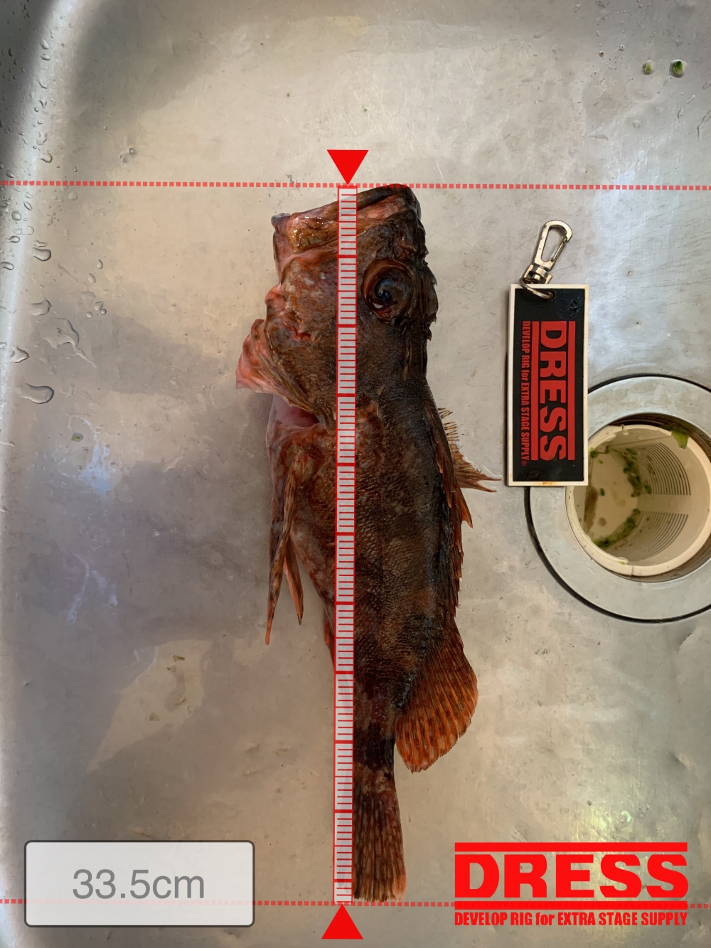 10160_0_d695869f385c12fdd4db8d4043898a09