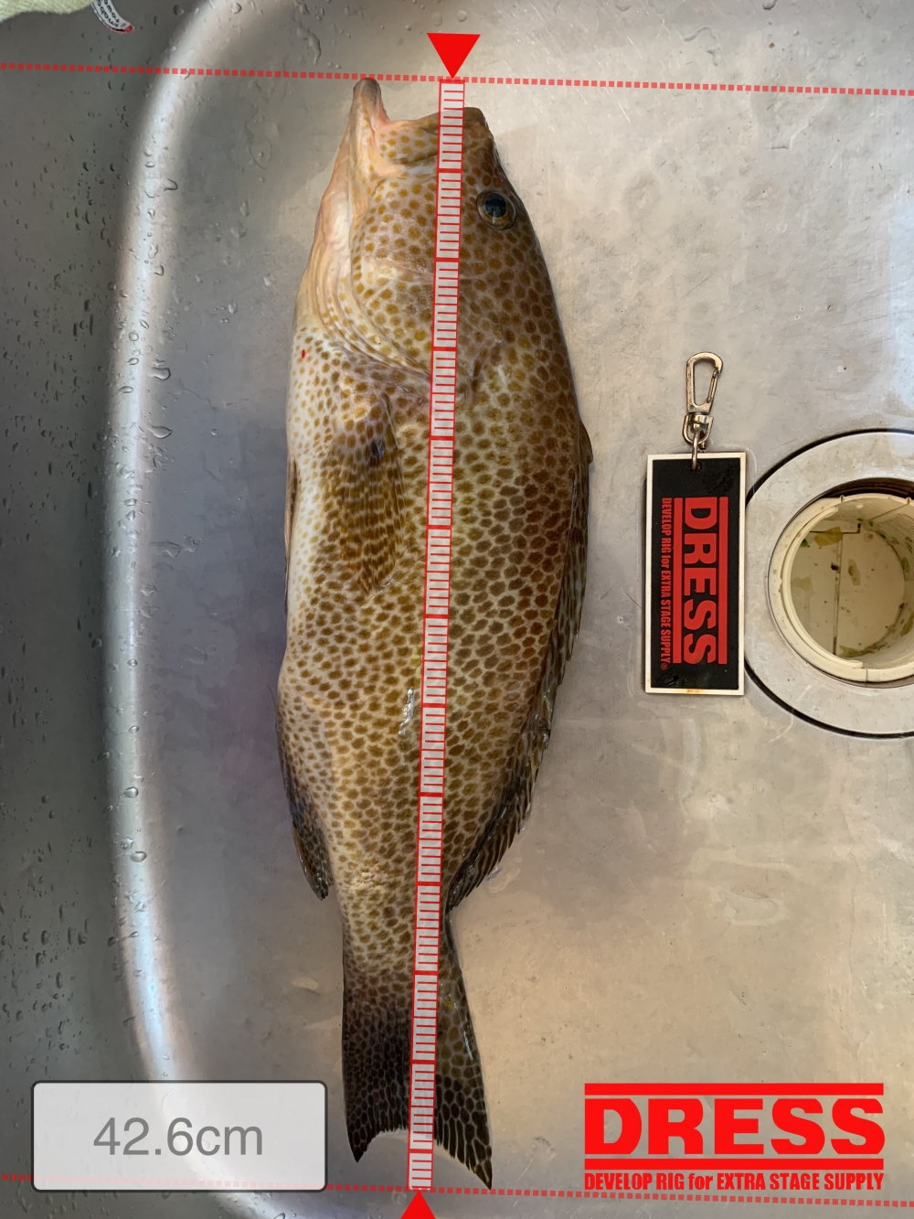 10160_0_fa93e56b4ae7cc171719021c47c044c0