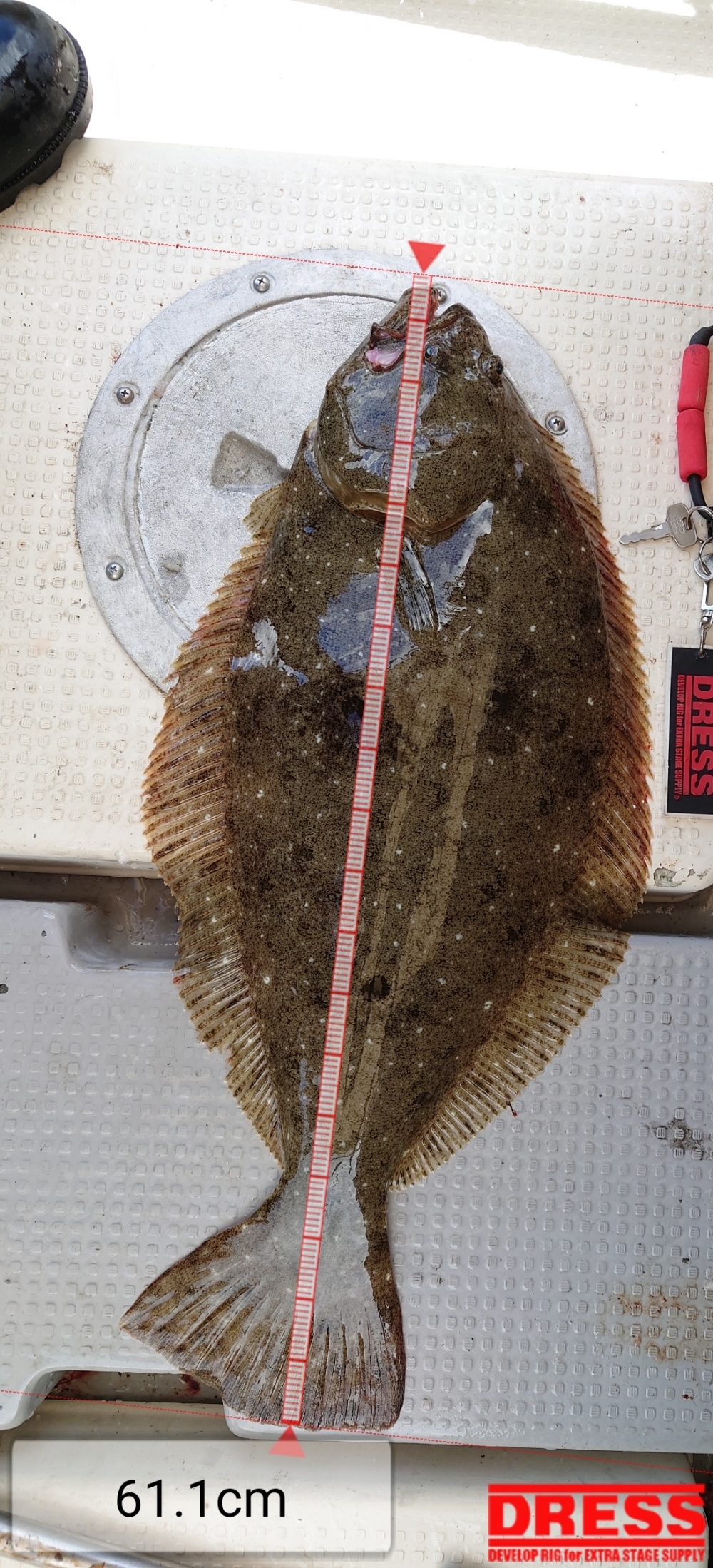 10221_0_1a5a2f41a70bcb3c7f41f37539174012