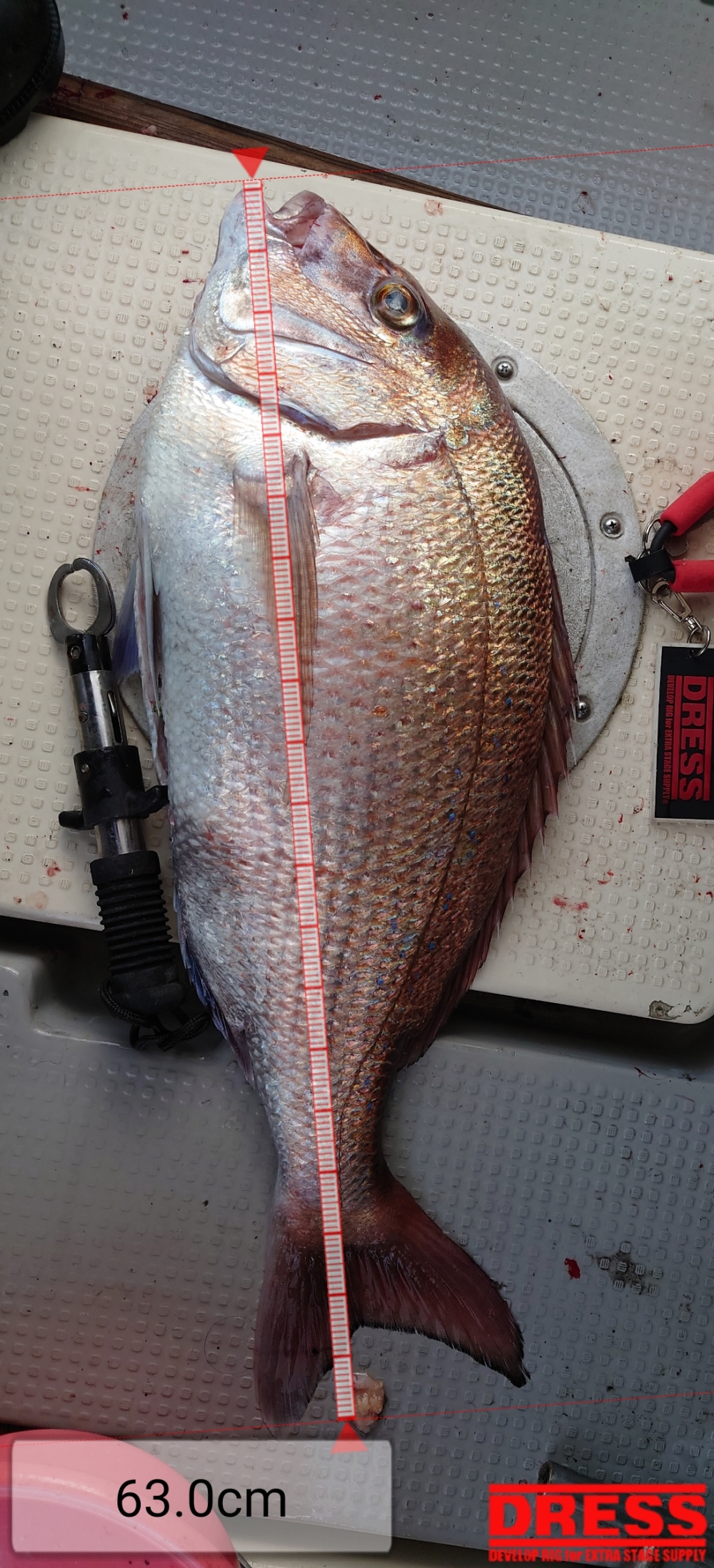 10221_0_52667a59b71d28bfa661819f6fe917dd