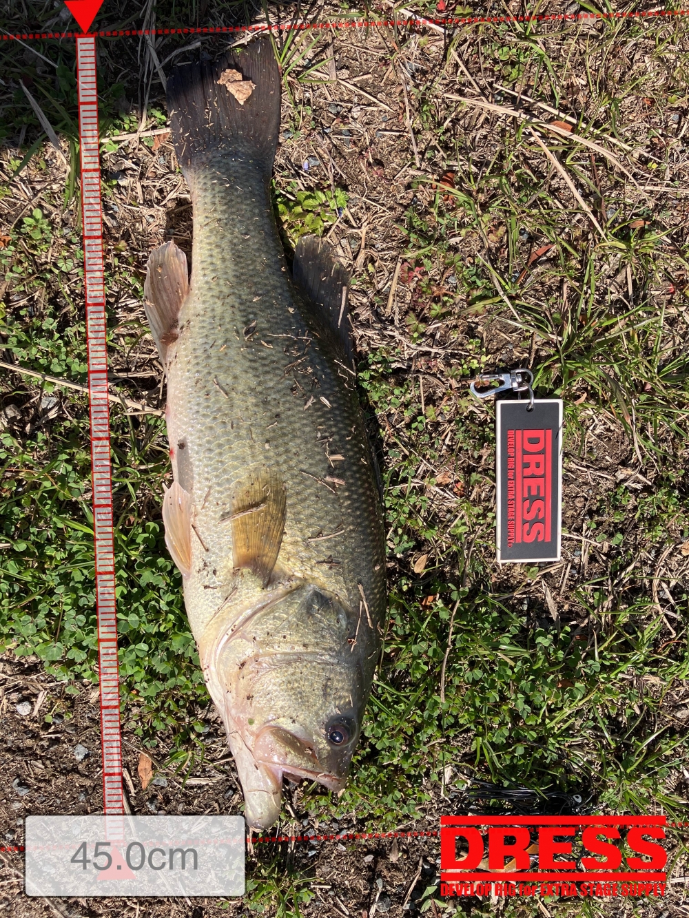 10232_0_0012337eb8a41e02460ac0e2ececa80b