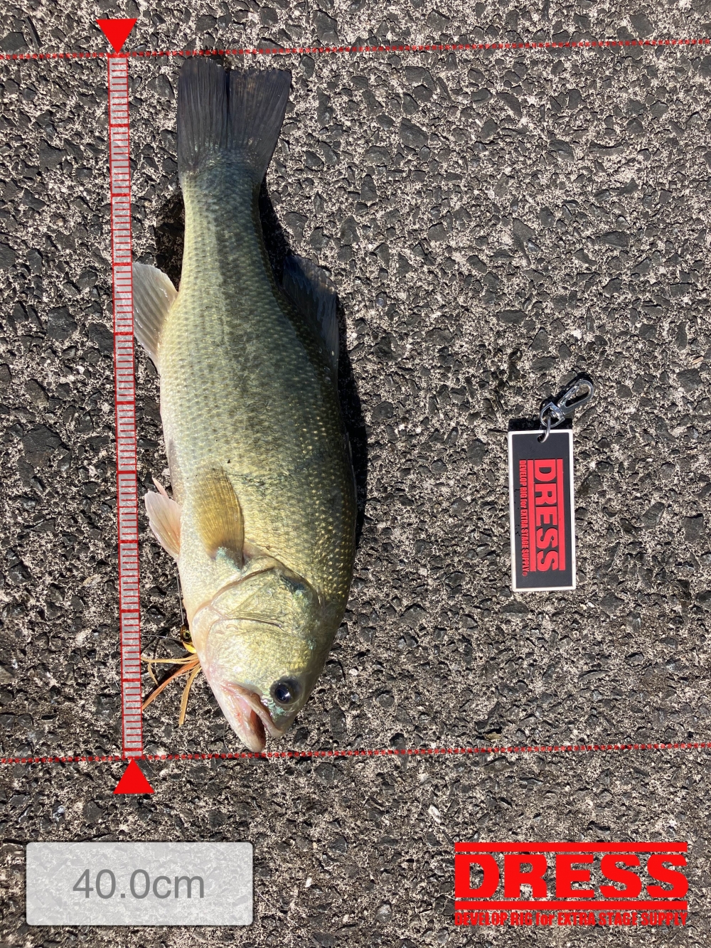 10232_0_6bf063498b04fea13db5d295c9c1075a