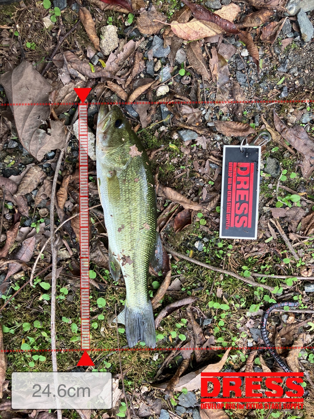 10232_0_b7822558d7e8aab863363ec69472eae8