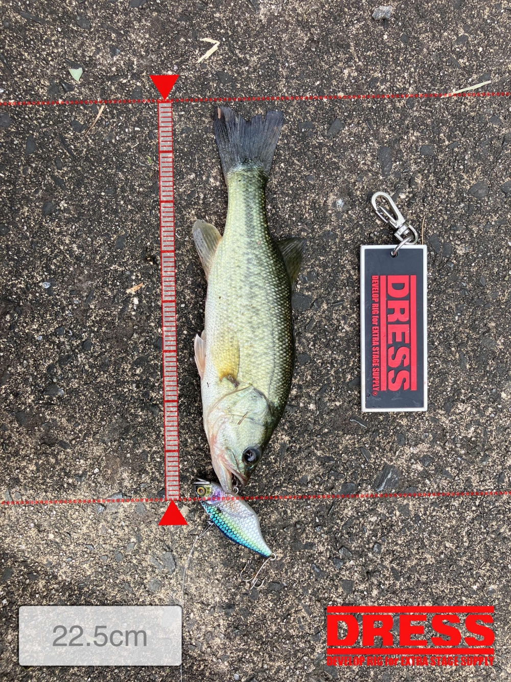 10232_0_d1865110a1556a556865cc6111c743f1