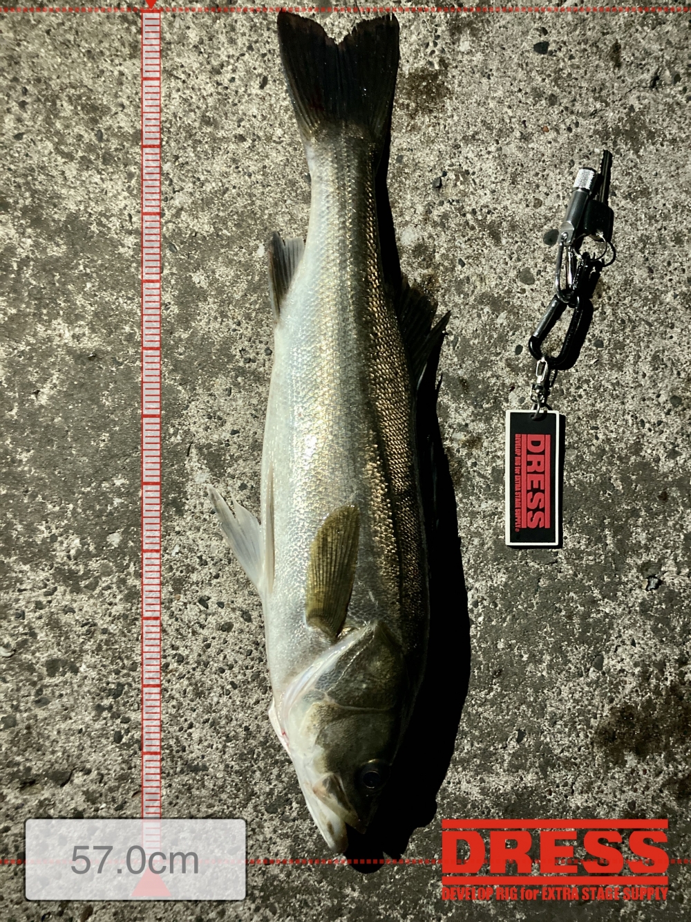 10249_0_21acfc71bfd552093e039dda814f3406