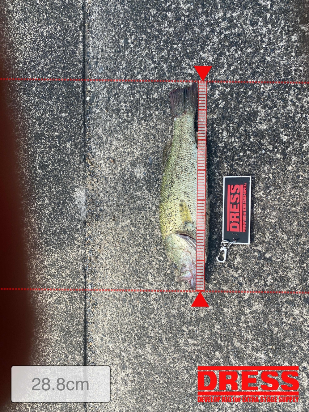 10254_0_db70125e701f121e222f1a95ebfe93f0