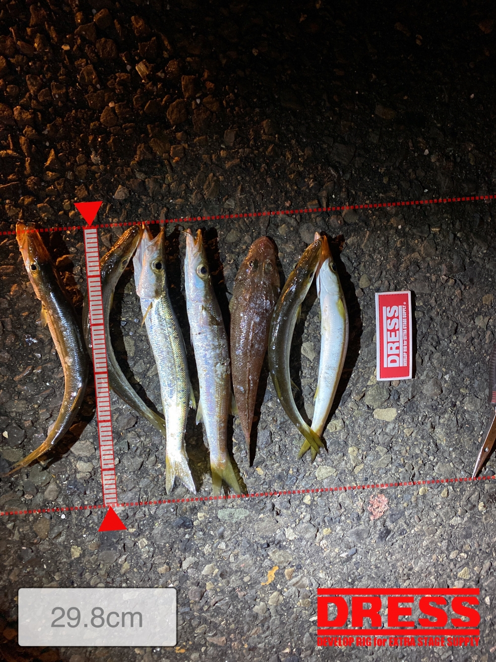 10289_0_122777c87801ad2ce15362e0d4b126ef