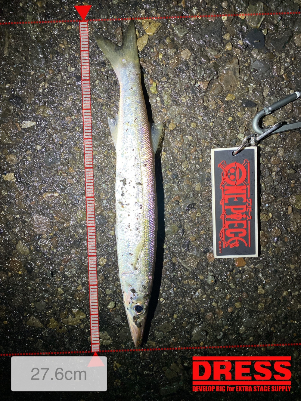 10289_0_1600f19d36371ad34a08c4893970627b