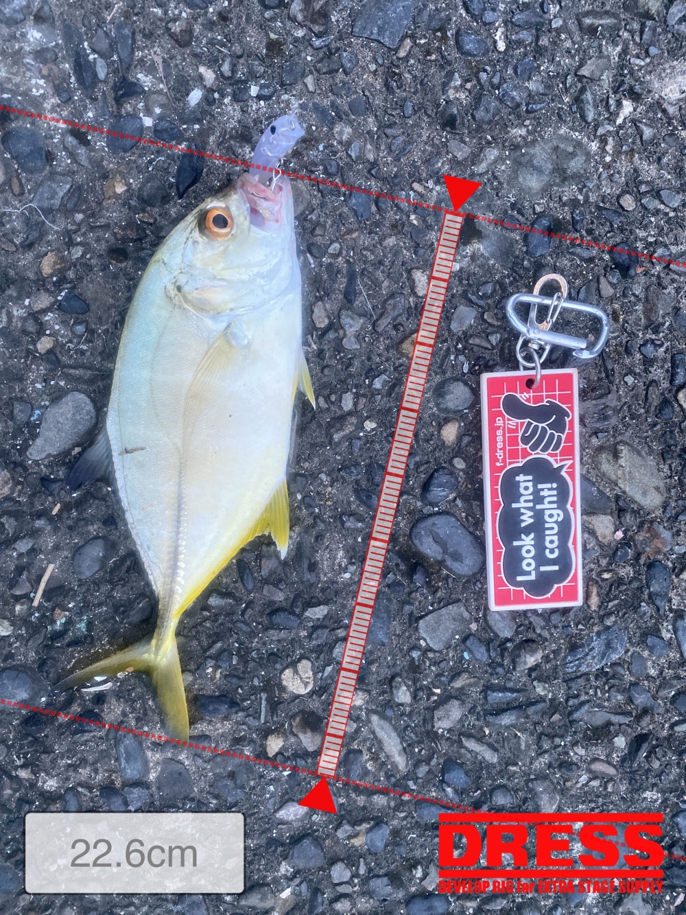 10289_0_c4fd8e5fd5bc228e56072af6bf45352b