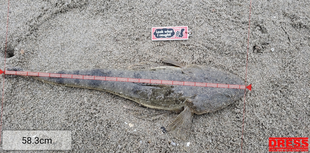 10303_0_e445829193dd7640663e22584e421391