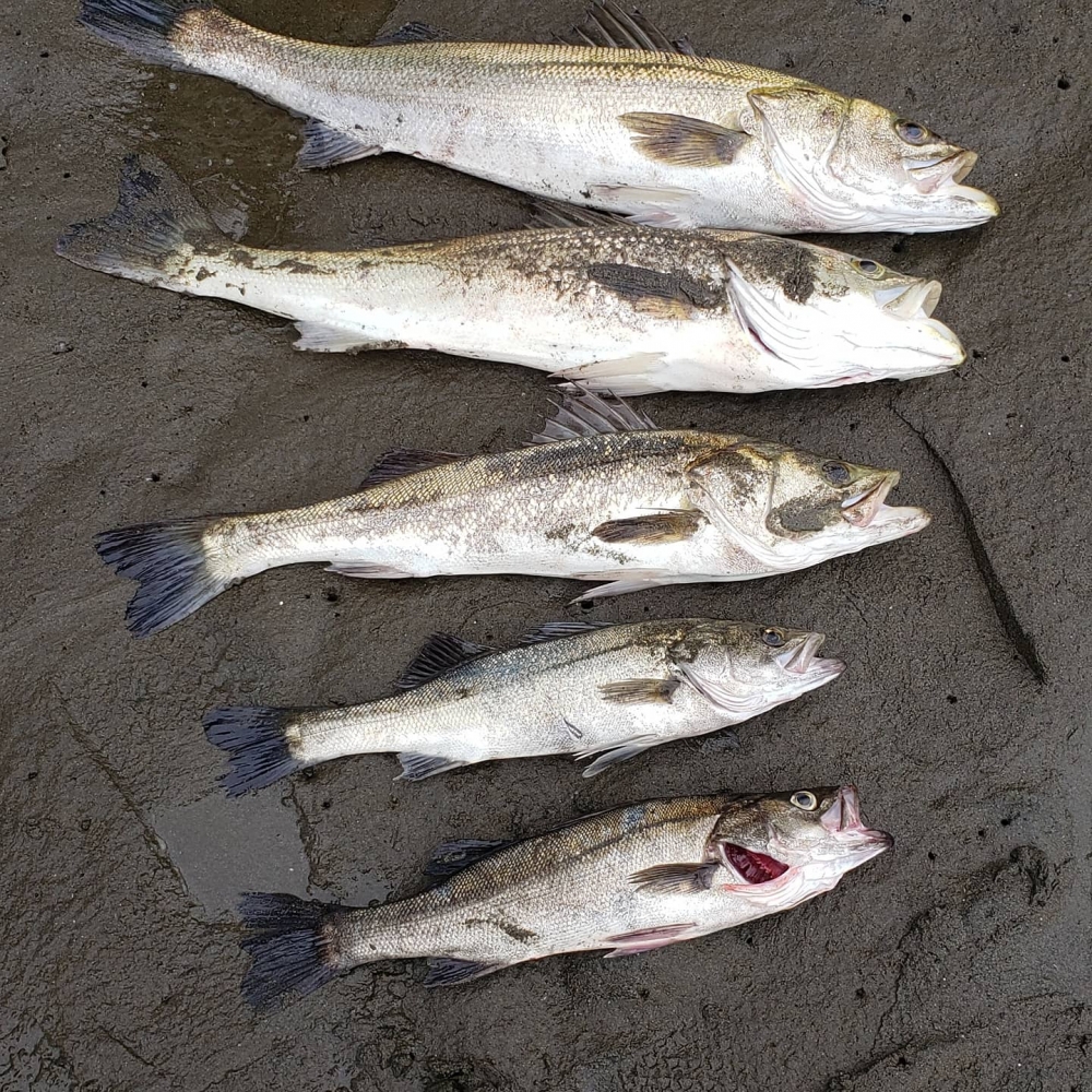 10304_0_05deb404a09214e9ac5f9f01daef72b5