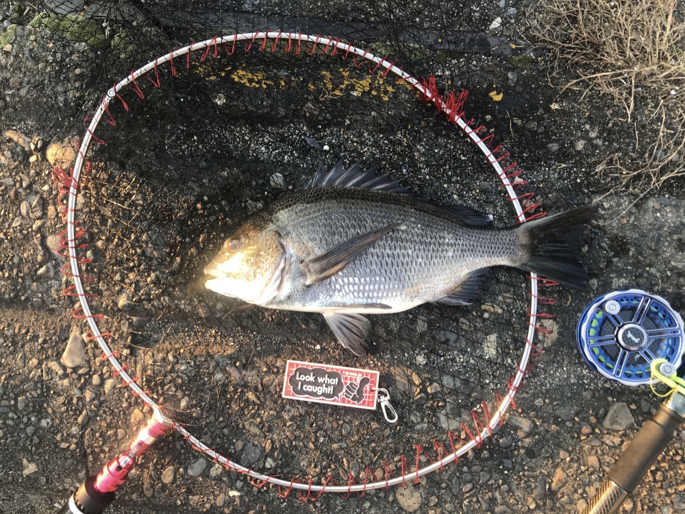 10361_0_12155004b0acacc792d744aba6ec167d