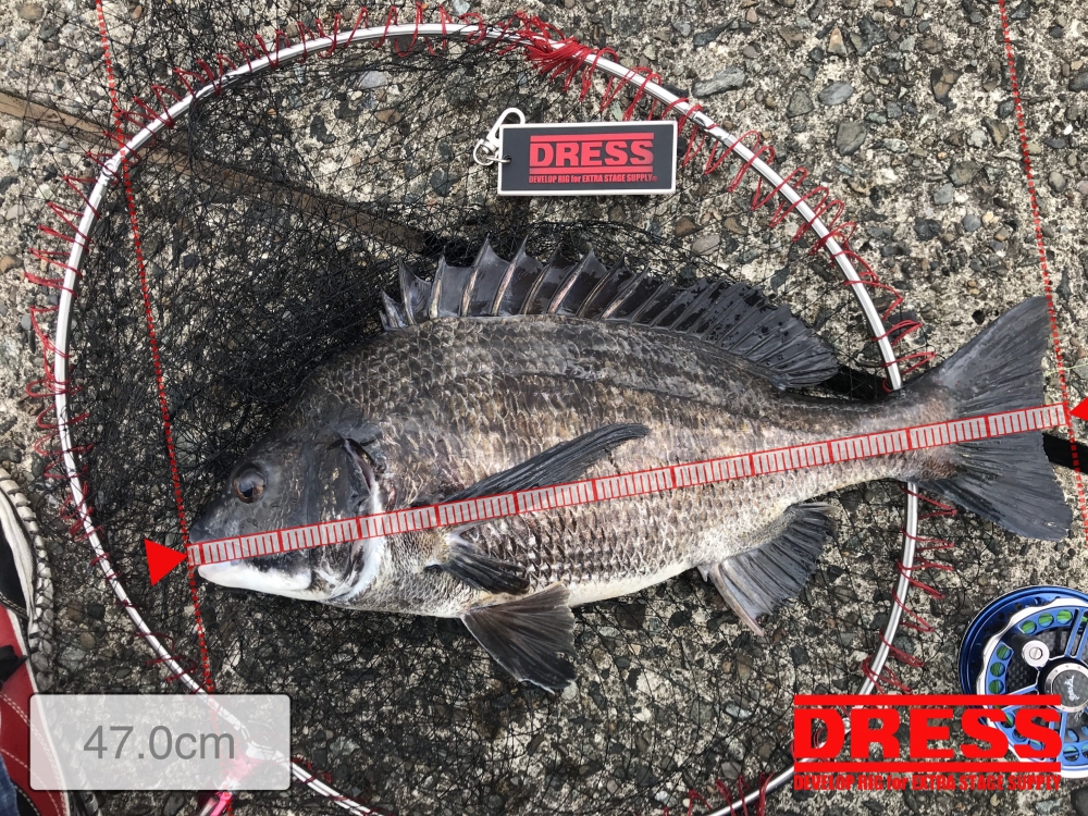 10361_0_299e02ec3b33859dba3e798fd72e8ce8