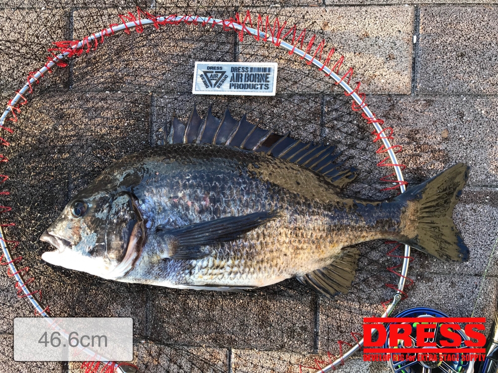 10361_0_31780f1e4bcdcba88d3746ff1b668e0b