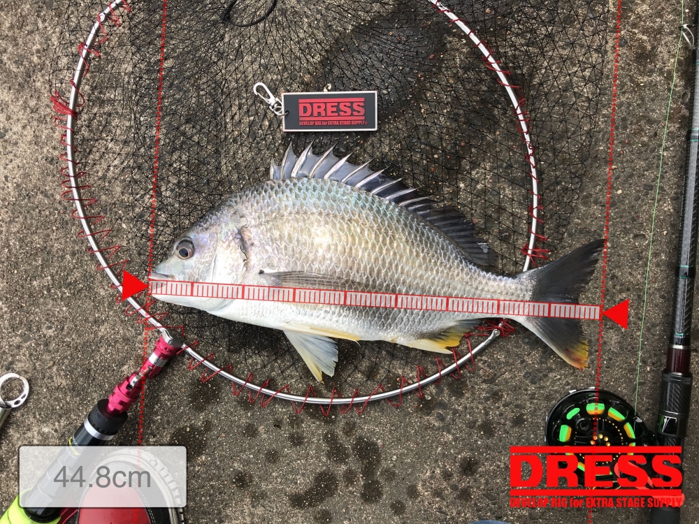 10361_0_444f225207b69b02d3da437a0af09af2