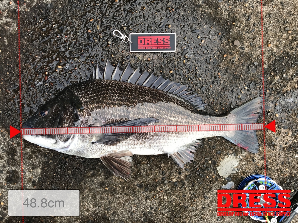 10361_0_4d2ff86f2de94a1bef74db57ce2a9718