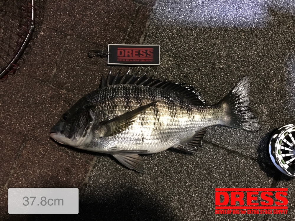 10361_0_821b17f8b6104ac21bc2fb1c03d29d45