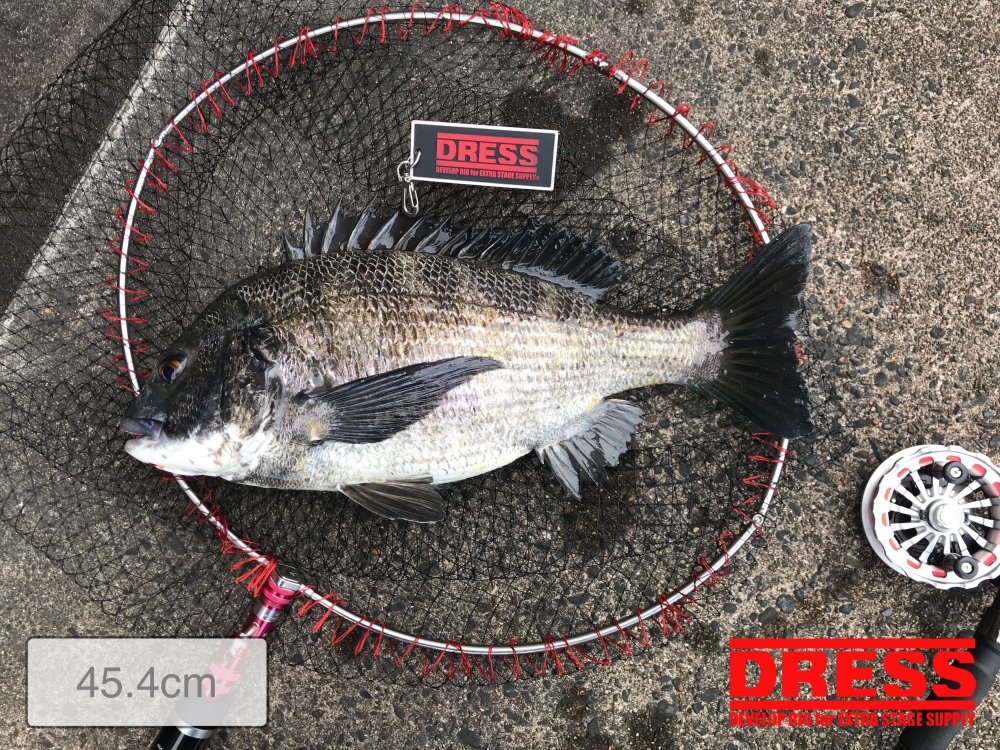 10361_0_8ae36581c864f79489e98f382063c766