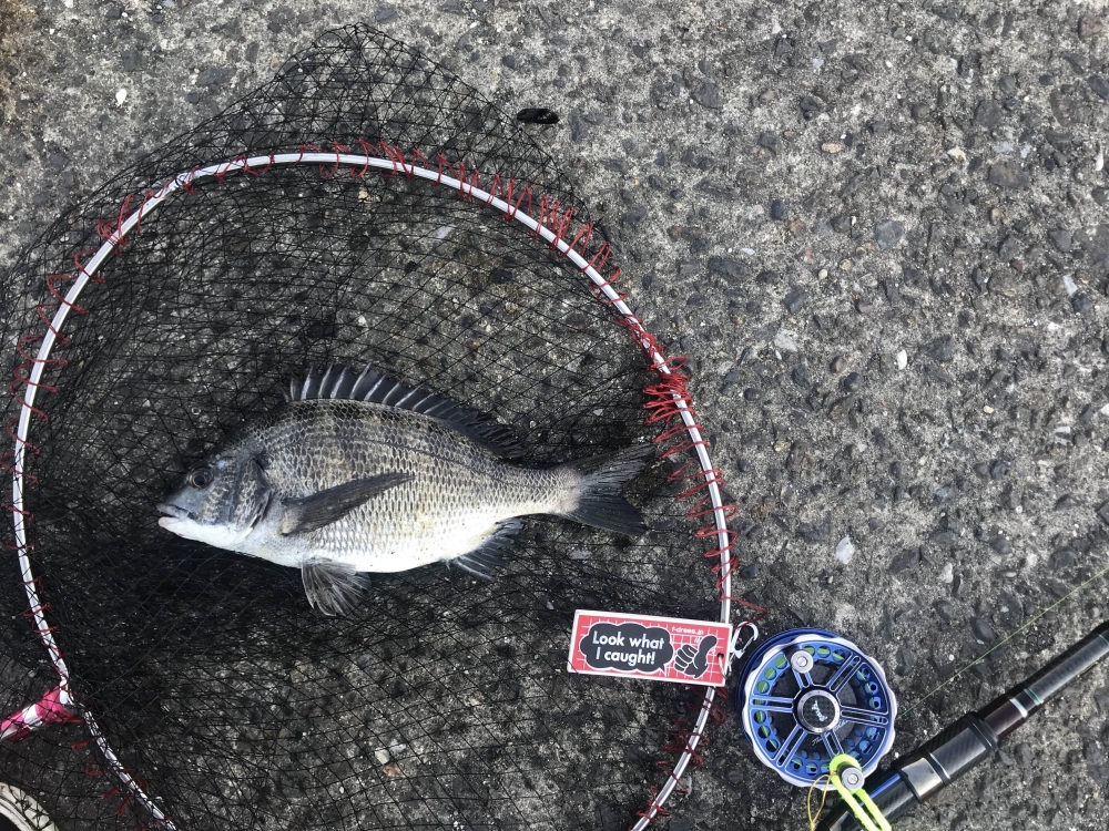 10361_0_aabad4e9e36e706fcaf6c7b989474090