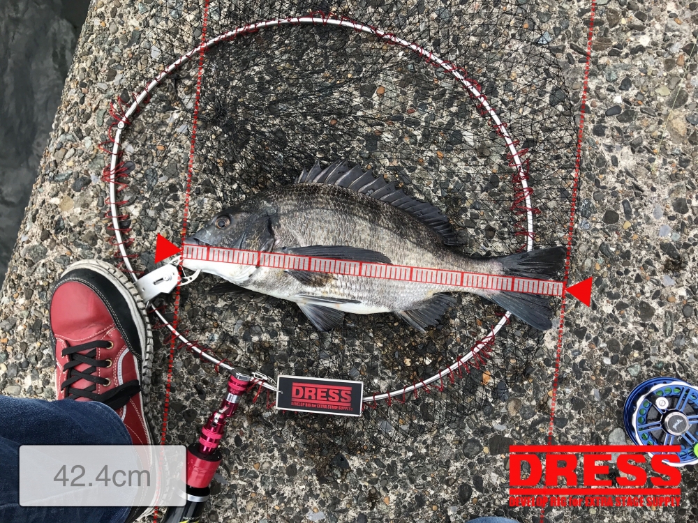 10361_0_bbe53740fe66aa92c64a471d172db151