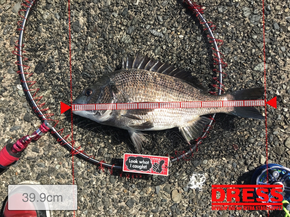 10361_0_c65589064e4121ab691e9ebb2e09d576