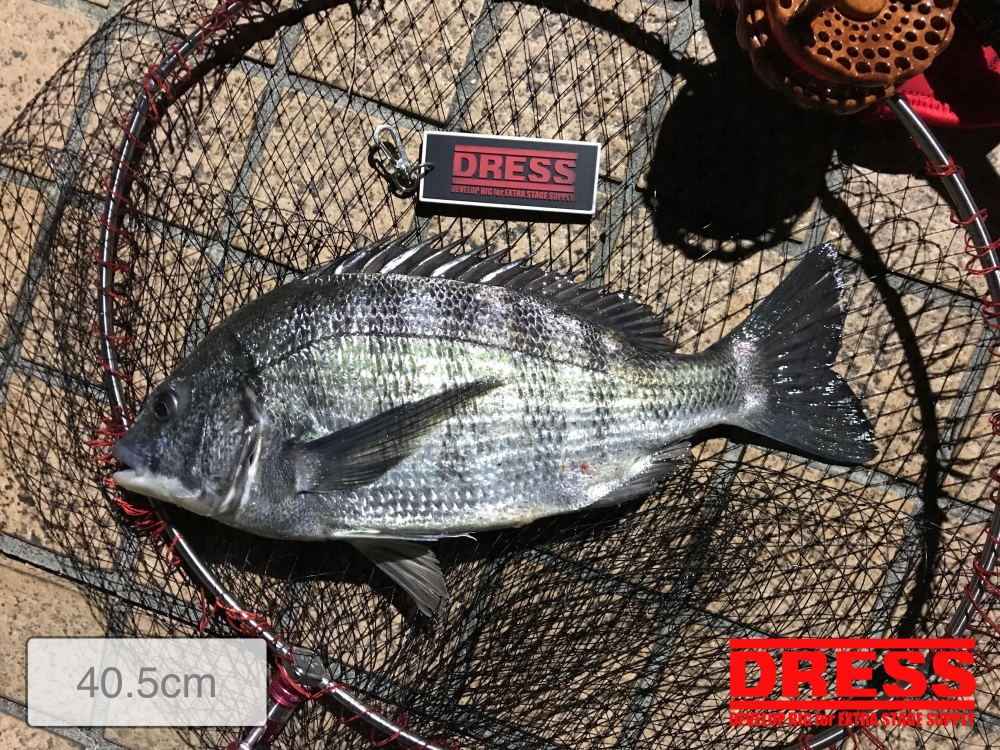 10361_0_d07a02152eba22e4e7f23be034d760d0