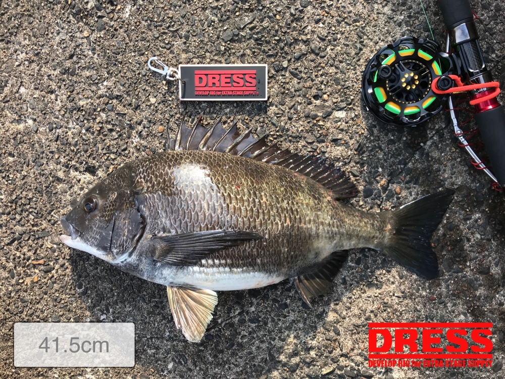 10361_0_d82523a8d3a9bcd5880ed8c46c239276