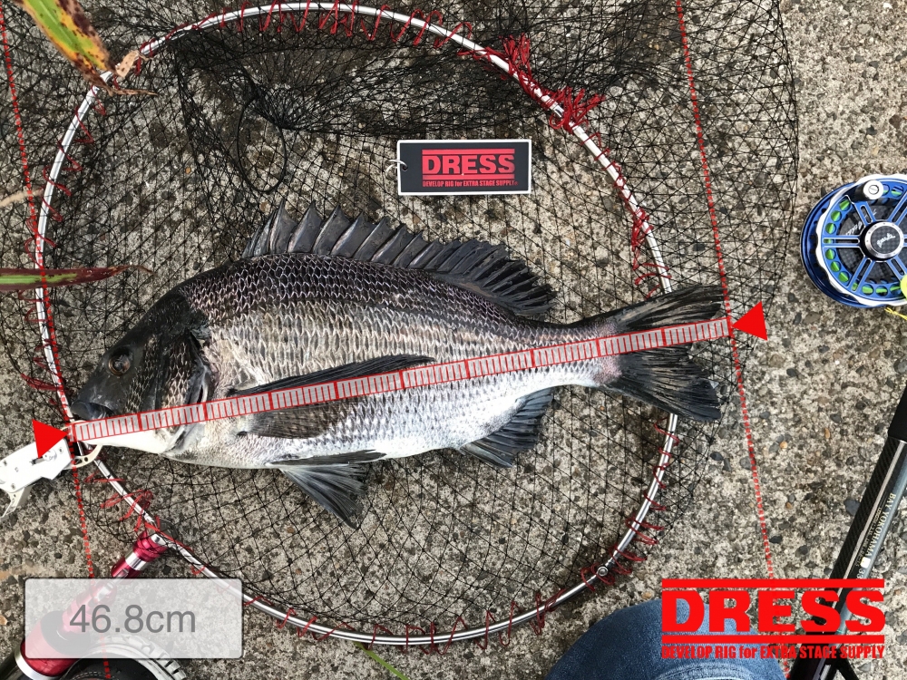 10361_0_e7d1eb6880fe67f059fea27fb0ae2cef