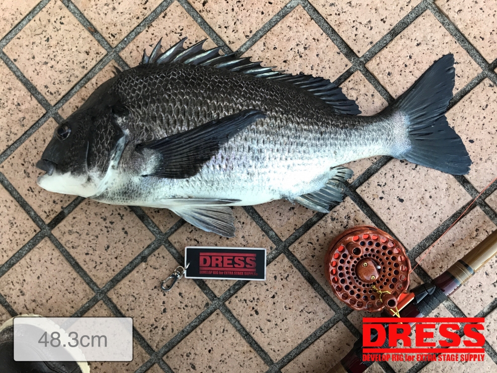 10361_0_f0eff2bc36408674994556c0af7149b5