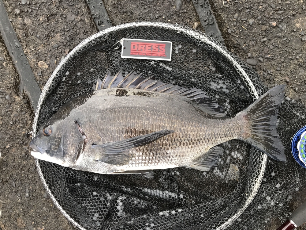 10361_0_fb041eca0ace184478bbf980da424b03