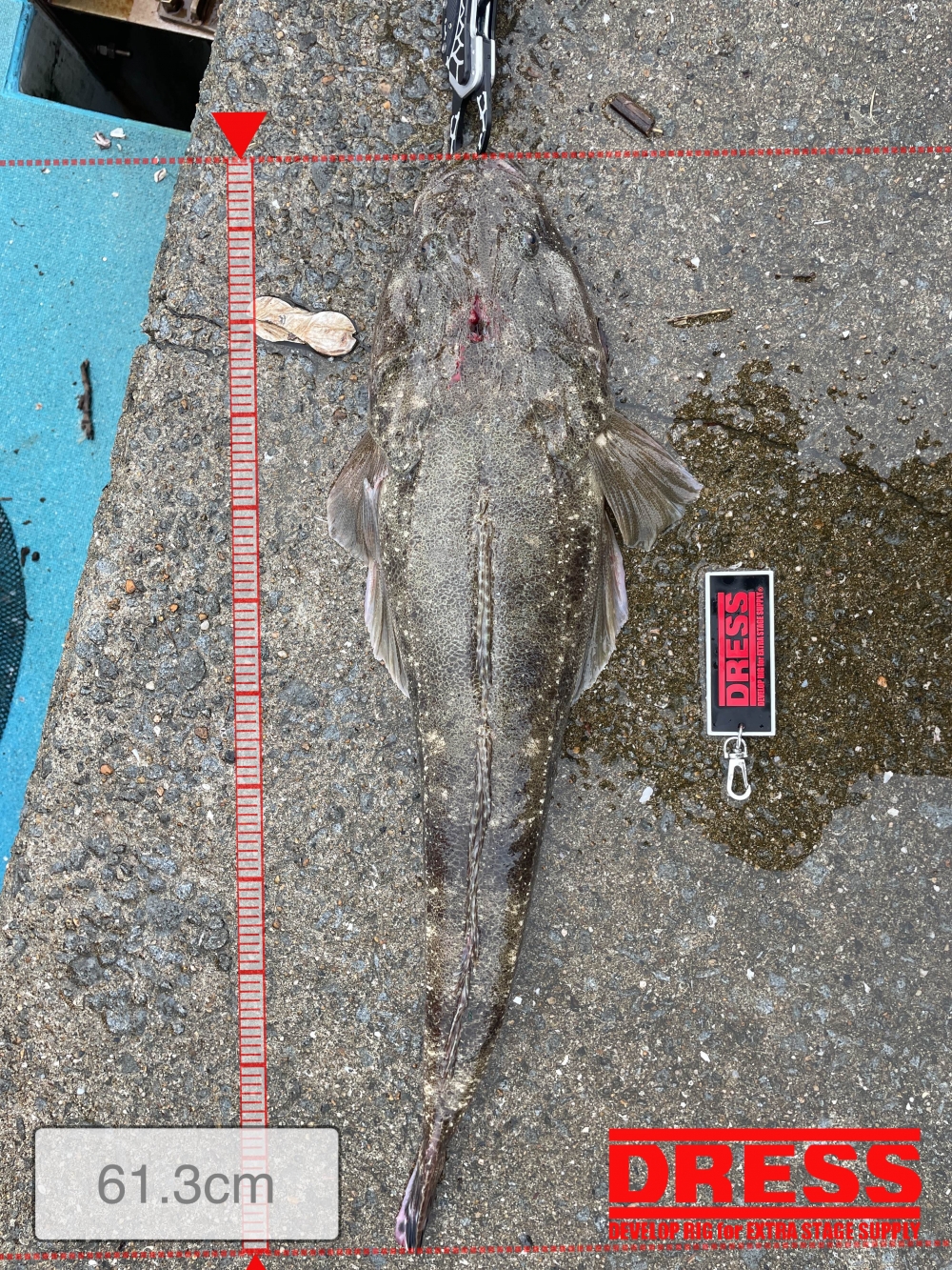 10455_0_08d55c1cba2ca20693c72397fc3b7384