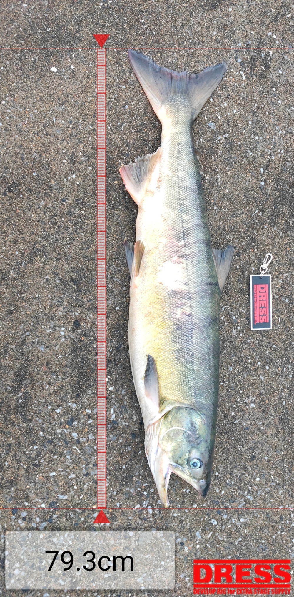 10465_0_30eb3c6dc15dce5444089ba783361ede