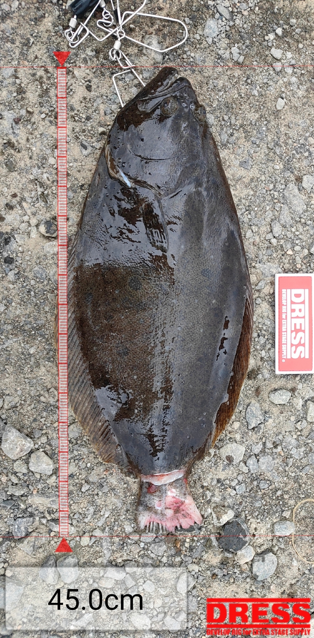 10465_0_738f6ea2946896083859c117a492a7ac